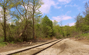 31st May 2017 - Railroad tracks