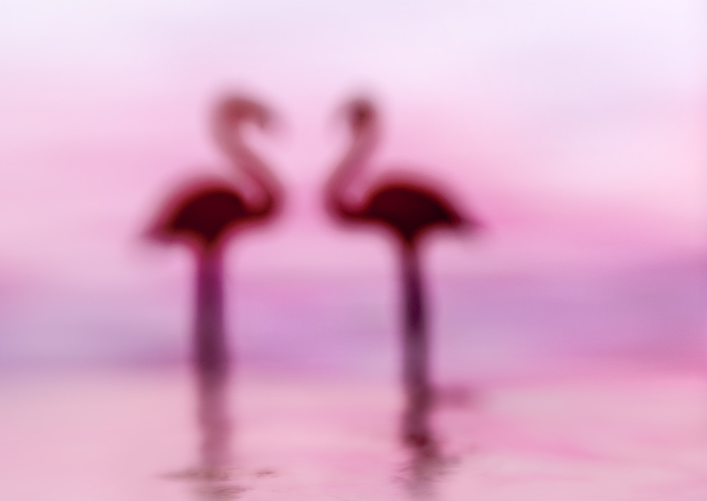 Mirage In Pink by davidrobinson