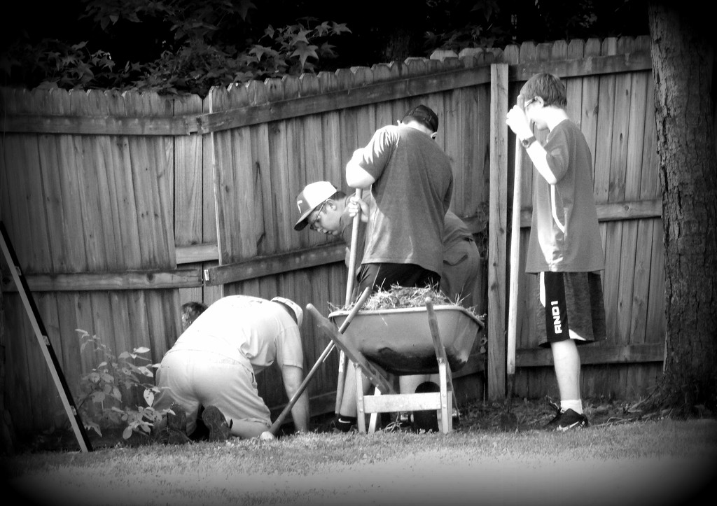 How many Polands does it take to fix a fence? by homeschoolmom