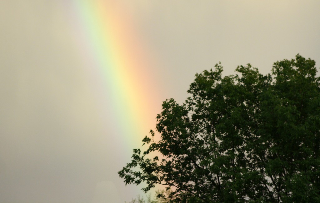 Rainbow by bruni