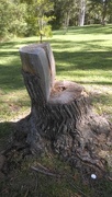 2nd Jun 2017 - Tree Stump Chair