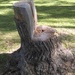 Tree Stump Chair by mozette