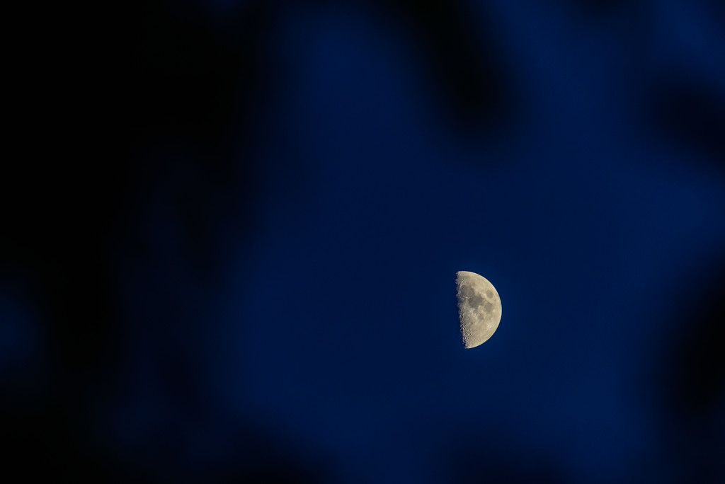 moon by jackies365