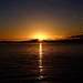 Sunrise over Rangitoto by dkbarnett