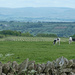 View across the valley by shirleybankfarm