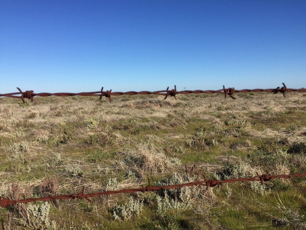 Hay plains by pusspup