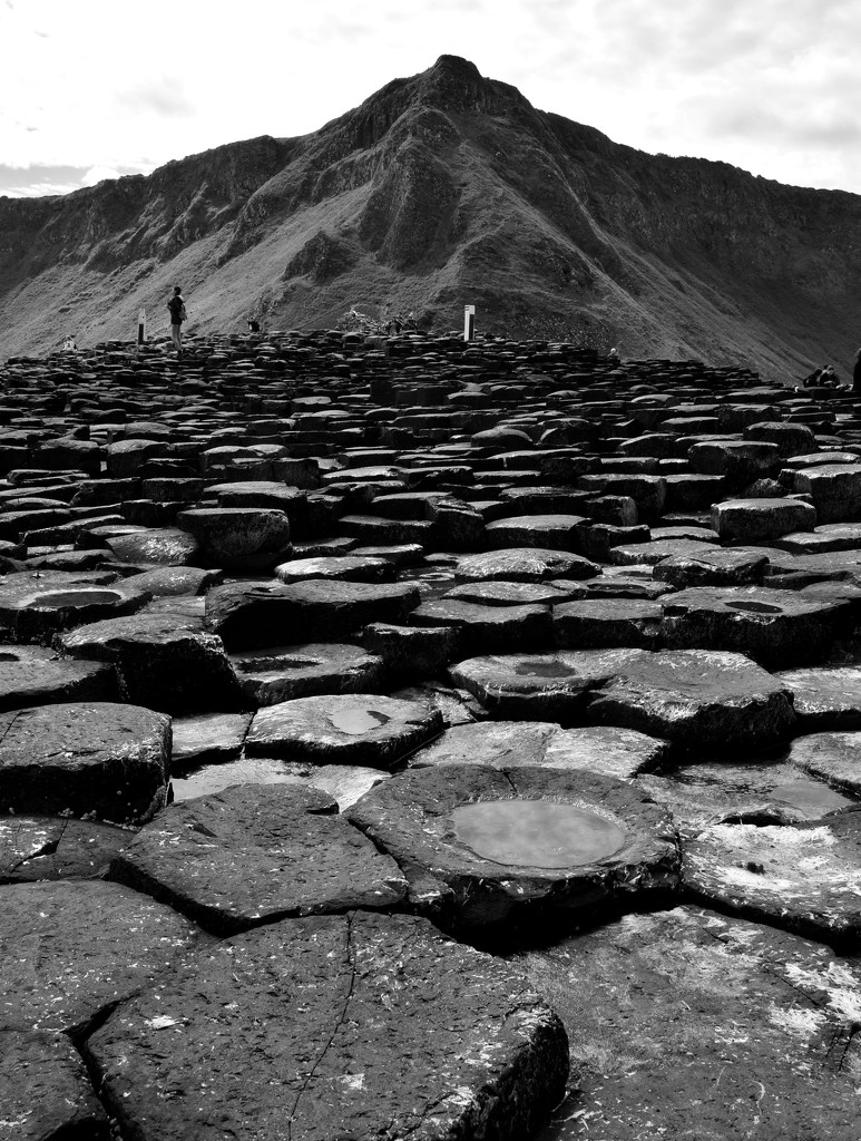 THE GIANT'S CAUSEWAY by ianmetcalfe