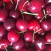 Cherry Season  by cookingkaren