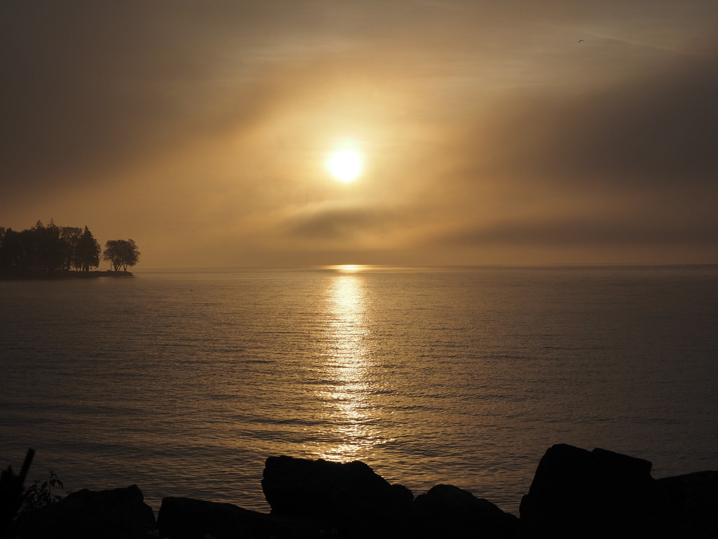 Fog and Sun by selkie