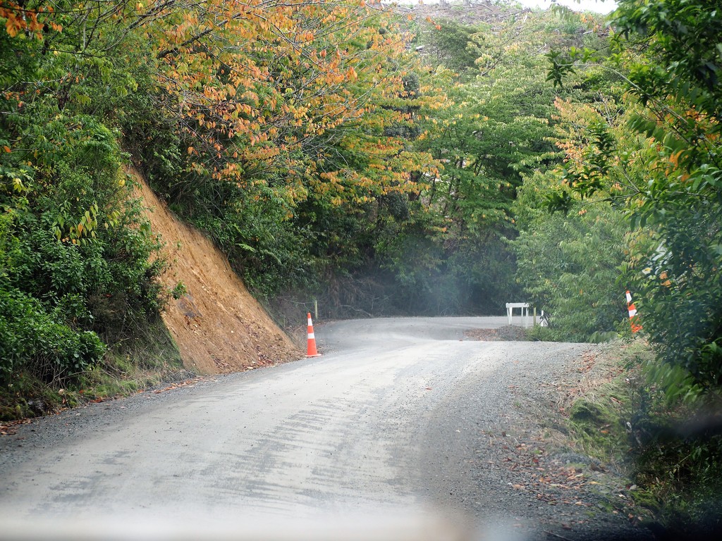 One of the many unsealed  Northland roads,  A vehicle passed us going the oposite way hence remainder of dust by Dawn