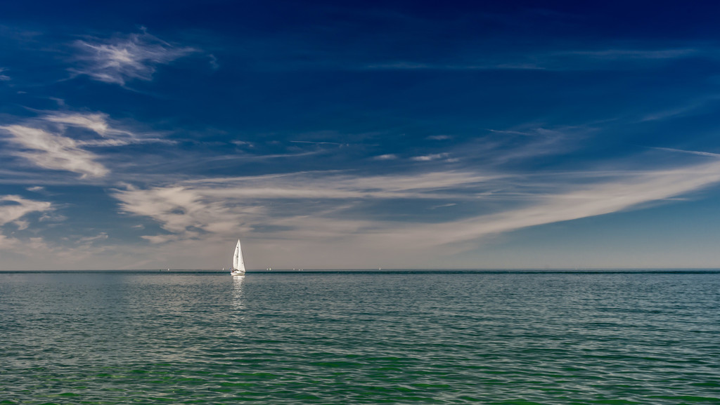 Green Water, Blue Sky, White Sailboat by taffy