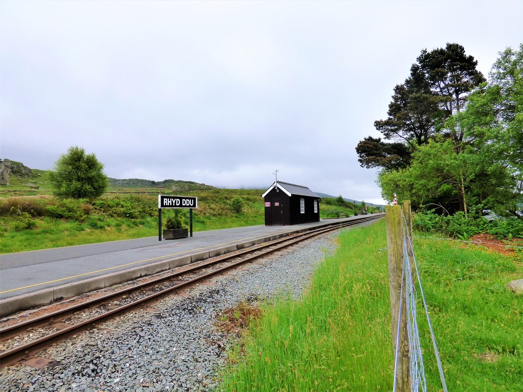 The Welsh Highland Railway at Rhyd Ddu  by beryl