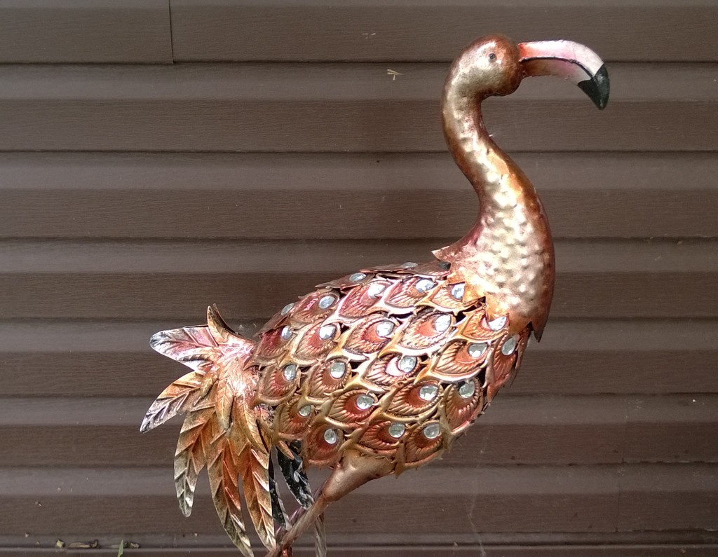 Bronze Flamingo by scoobylou
