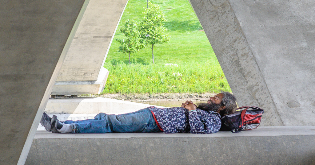 Homeless catnap under the bridge by ggshearron