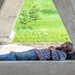 Homeless catnap under the bridge by ggshearron