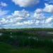Marsh, sky and clouds, Charleston, SC by congaree