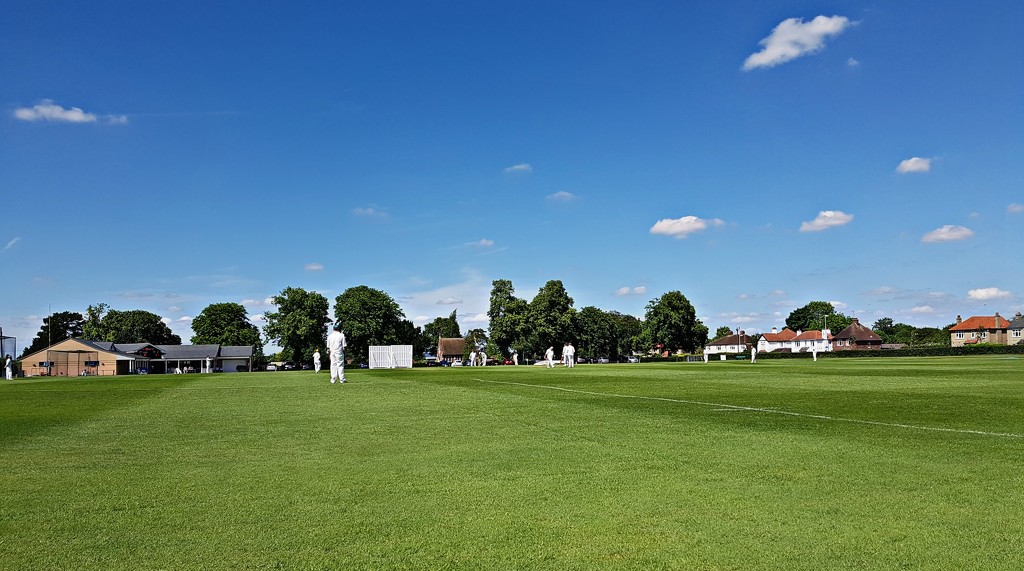 Saturday afternoon Cricket by kimcrisp