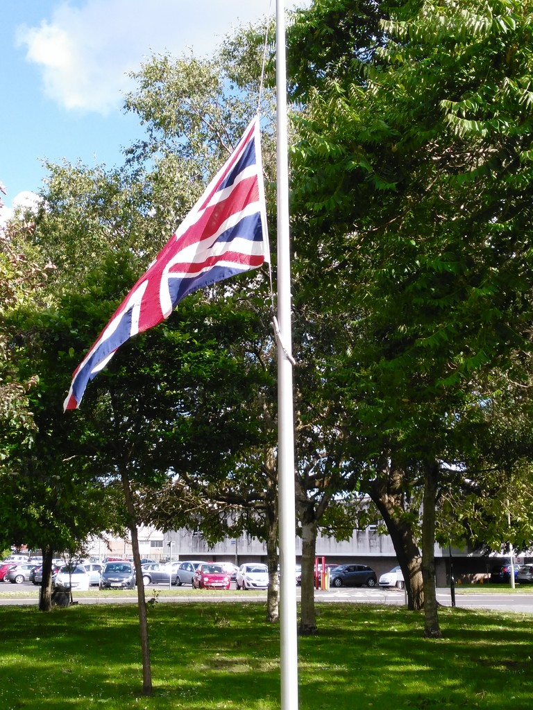 Flag at half mast by jmdspeedy