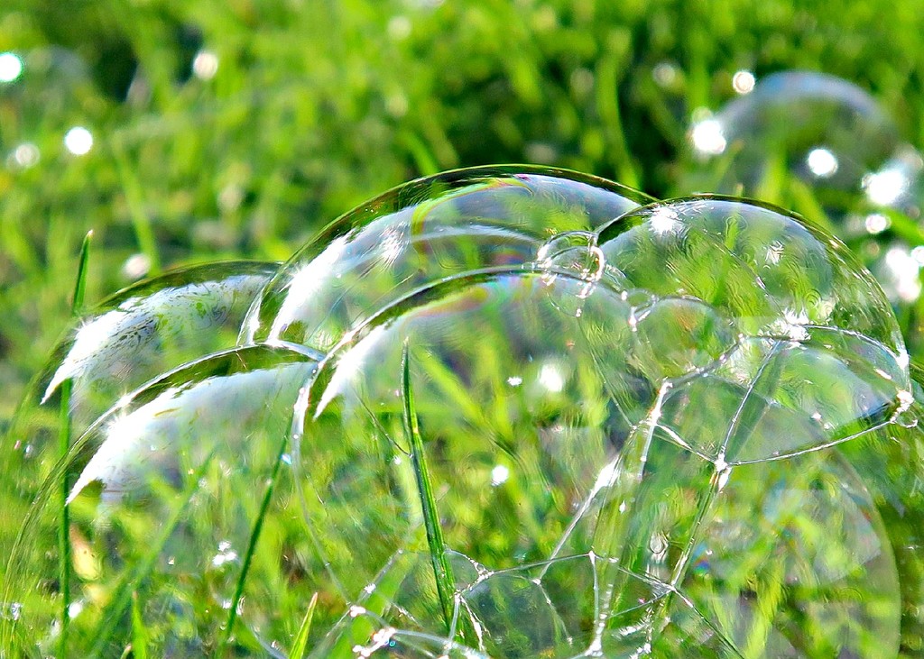 Bubbles. by wendyfrost