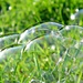 Bubbles. by wendyfrost
