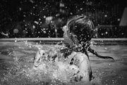7th Jun 2017 - Splashing at the Pool