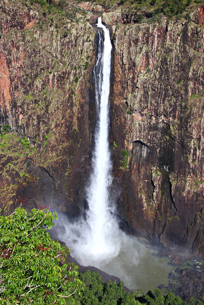 Wallaman Falls by terryliv