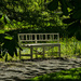 Bench in the garden by elisasaeter