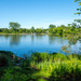 Fox River Landscape by rminer