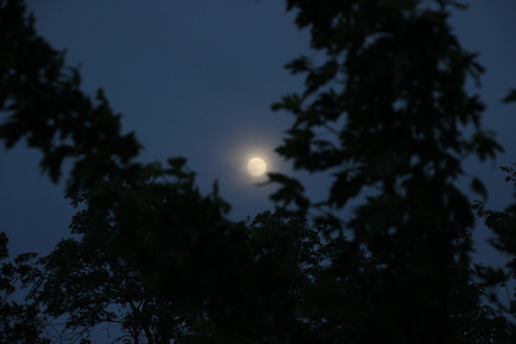 Peek-a-boo, Full Moon by bjchipman