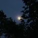 Peek-a-boo, Full Moon by bjchipman