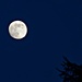 Full Moon by caterina