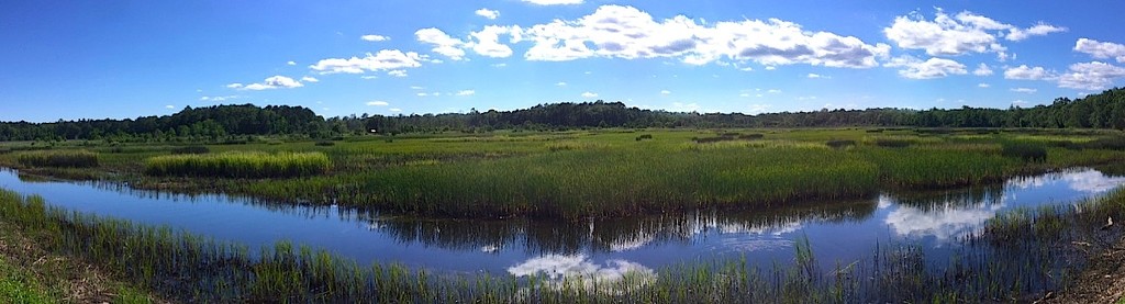 Marsh, sky and clouds by congaree