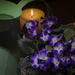 Day 159 Violets and Candles by kipper1951
