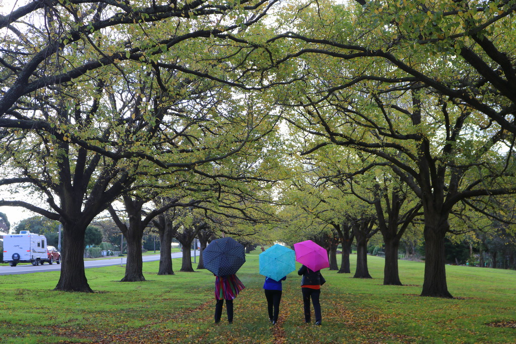 Autumn brolly girls by gilbertwood