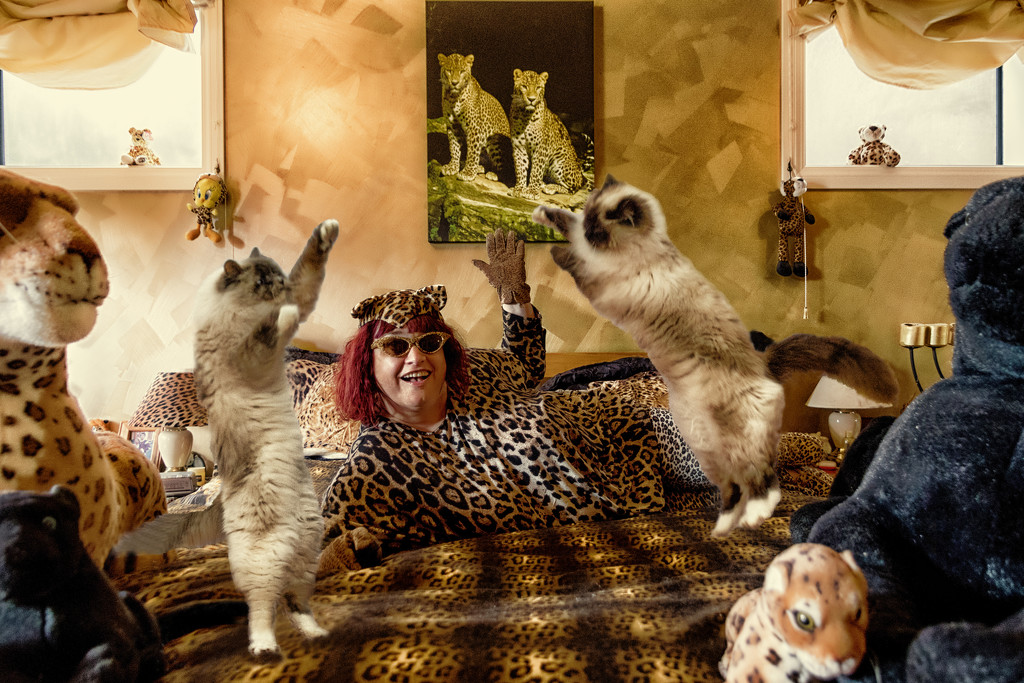 Crazy Cat Lady by helenw2