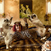 Crazy Cat Lady by helenw2
