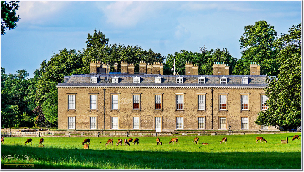 Althorp House And Deer by carolmw