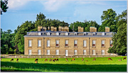 10th Jun 2017 - Althorp House And Deer