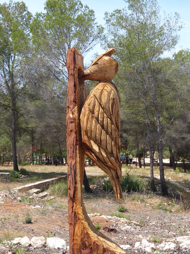 Wooden woodpecker! by chimfa