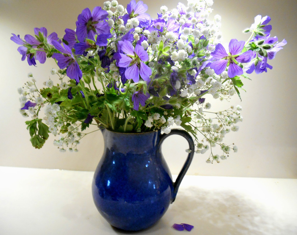 Blue flowers in a blue jug... by snowy