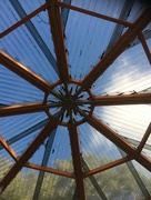 10th Jun 2017 - Rotunda roof