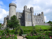 31st May 2017 - Arundel Castle from the Rose Garden
