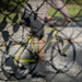 Cyclist - Shadow Composite by jbritt