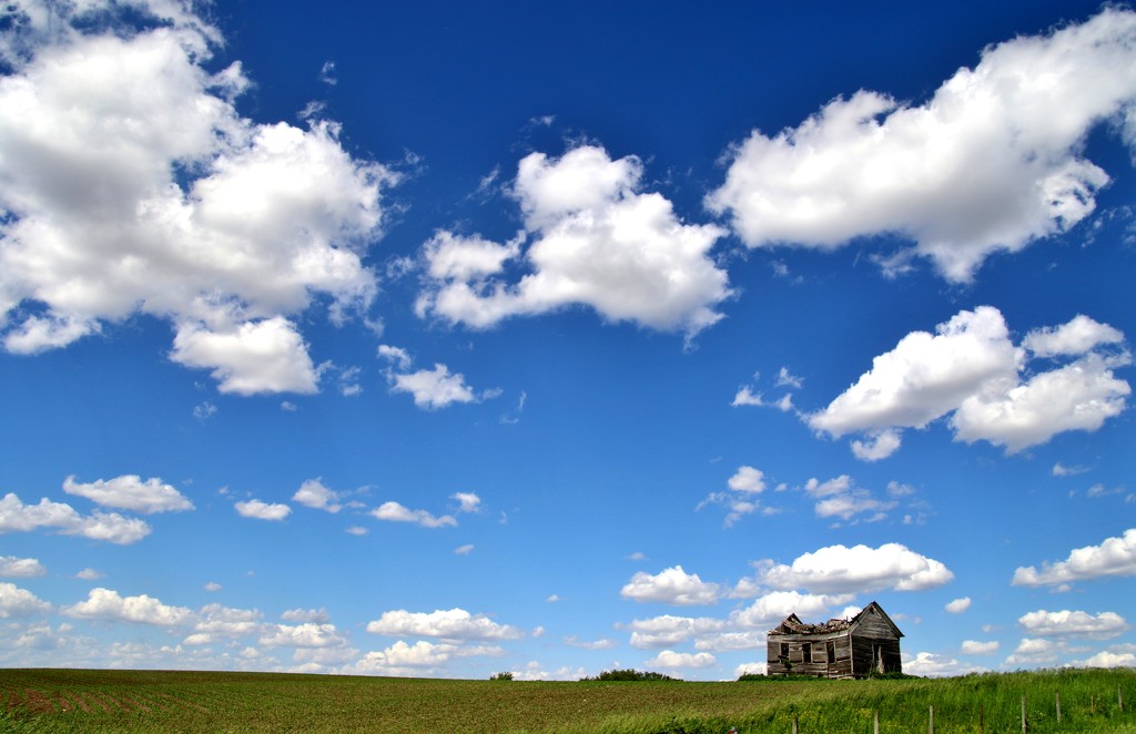 Forgotten Little House on the Prairie by lynnz