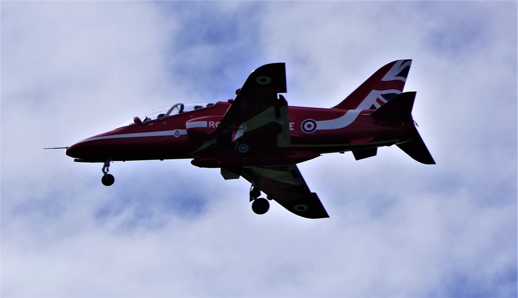 Solo Red Arrow by carole_sandford
