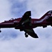 Solo Red Arrow by carole_sandford