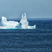First Iceberg by pamknowler