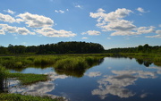 12th Jun 2017 - Marsh and wetlands cloud reflections