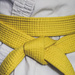 Yellow Belt by vera365