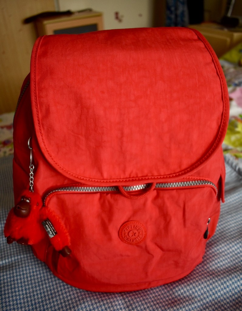 Red Backpack by gillian1912